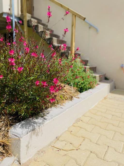 La Maison Massonat Hébergement de vacances Cossaye